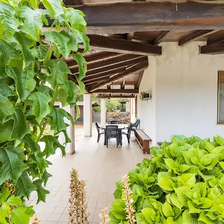 Orto Degli Ulivi